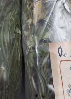 Веточный корм для грызунов