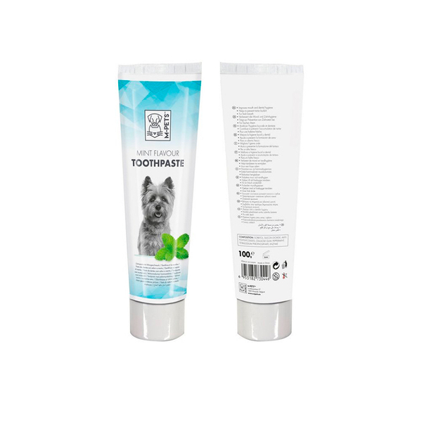 Зубная пастаToothpaste Mint Flavour со вкусом мяты 100 мл