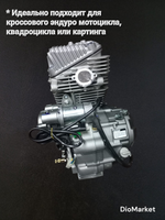 Двигатель для эндуро 250 кубов 172FMM-6A 4х-клапанный