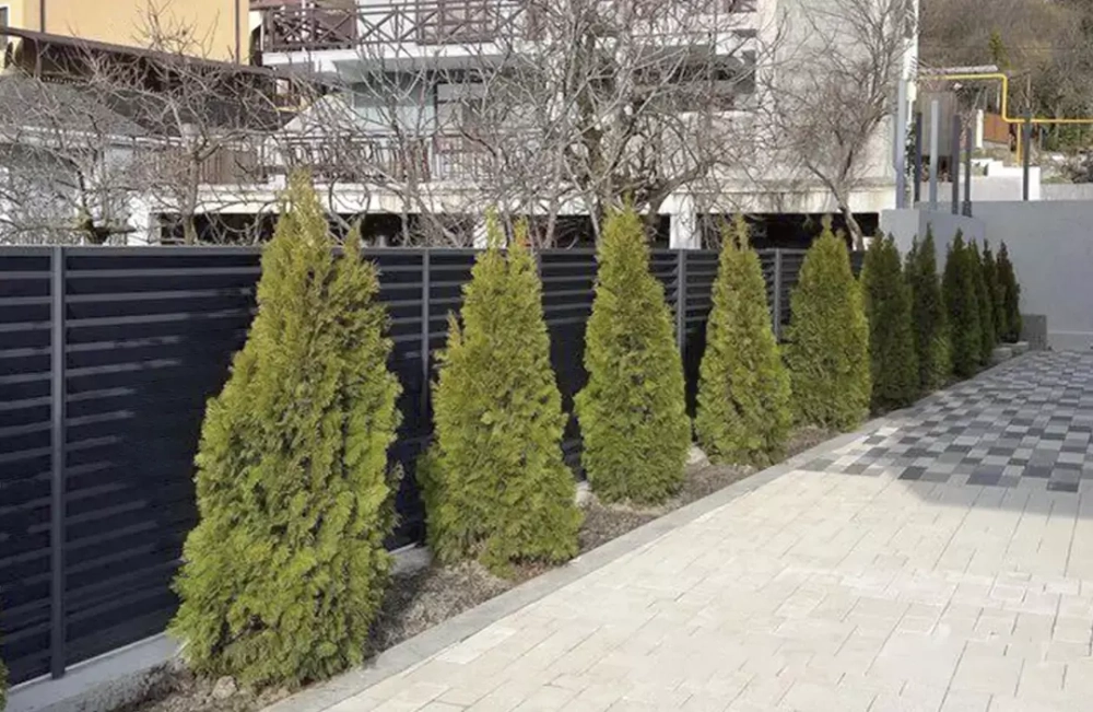 Металлический забор жалюзи