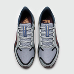 Кроссовки Nike Pegasus 41 Gtx Grey Brown