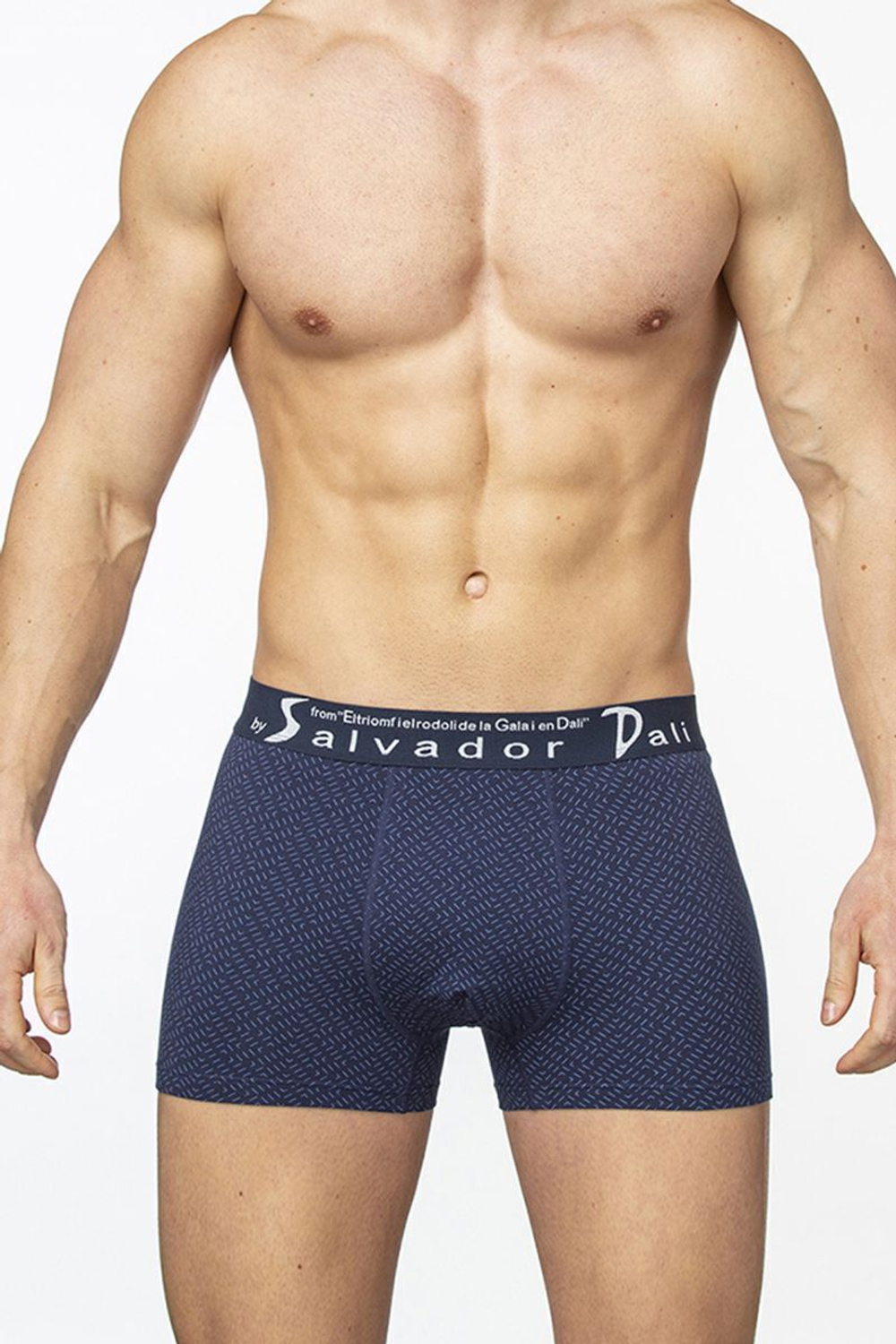 Мужские трусы-боксеры в крапинку (Размер: L) (Цвет: серый)