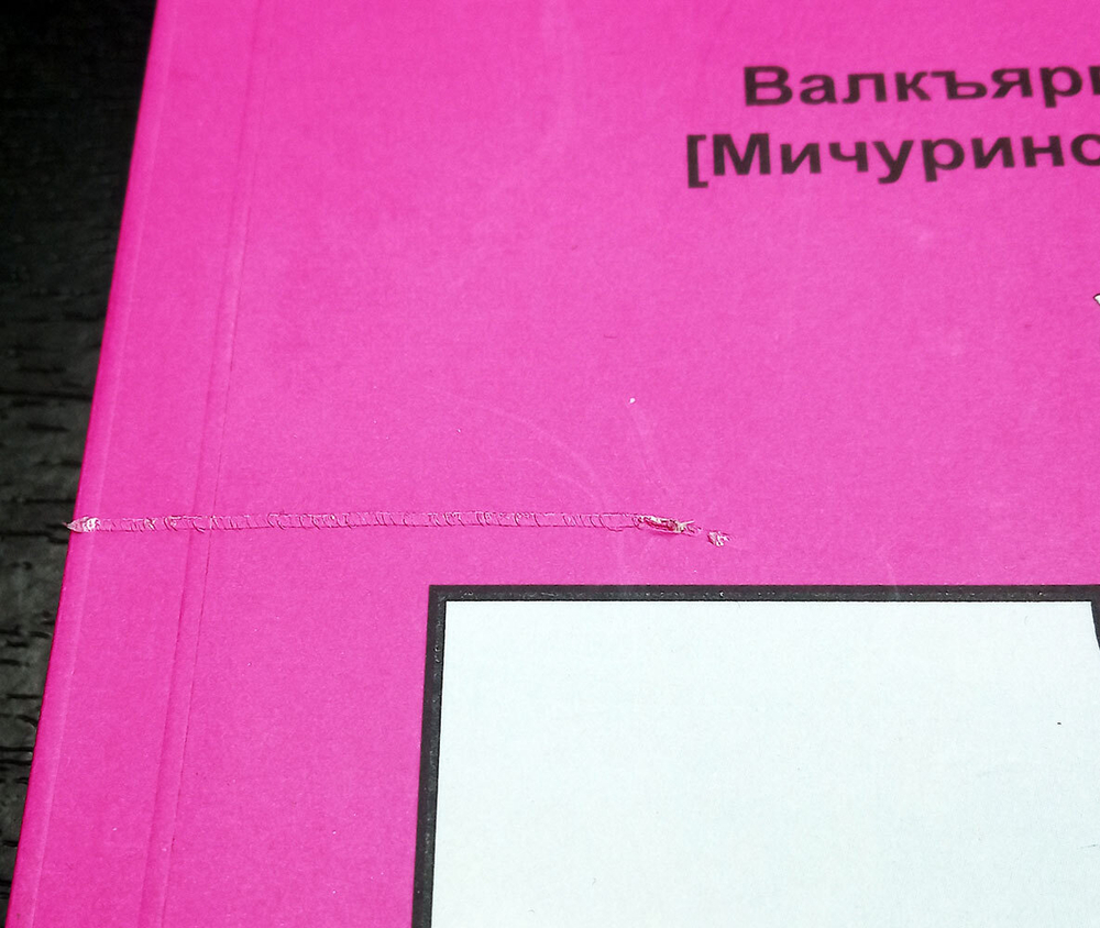Карельский перешеек. Земля неизведанная. Часть 9. Центральный сектор: Валкъярви – Вуоксела (Мичуринское – Ромашки) (у)