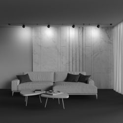 Трековый светодиодный светильник Maytoni Parity   TR124B-12W3K-B