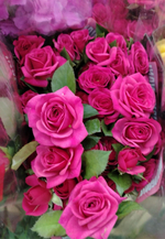 15 веточек кустовых роз