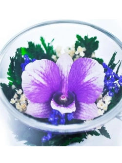 натуральные цветы в стекле, вакуум 05.21