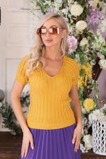 Джемпер Др3-480/2 Wisell (Акция)