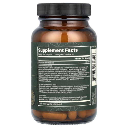 Global Healing, Ultimate Probiotic, 100 млрд КОЕ, 60 капсул