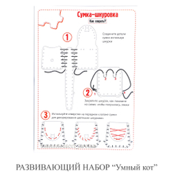 РАЗВИВАЮЩИЙ НАБОР "Умный кот"