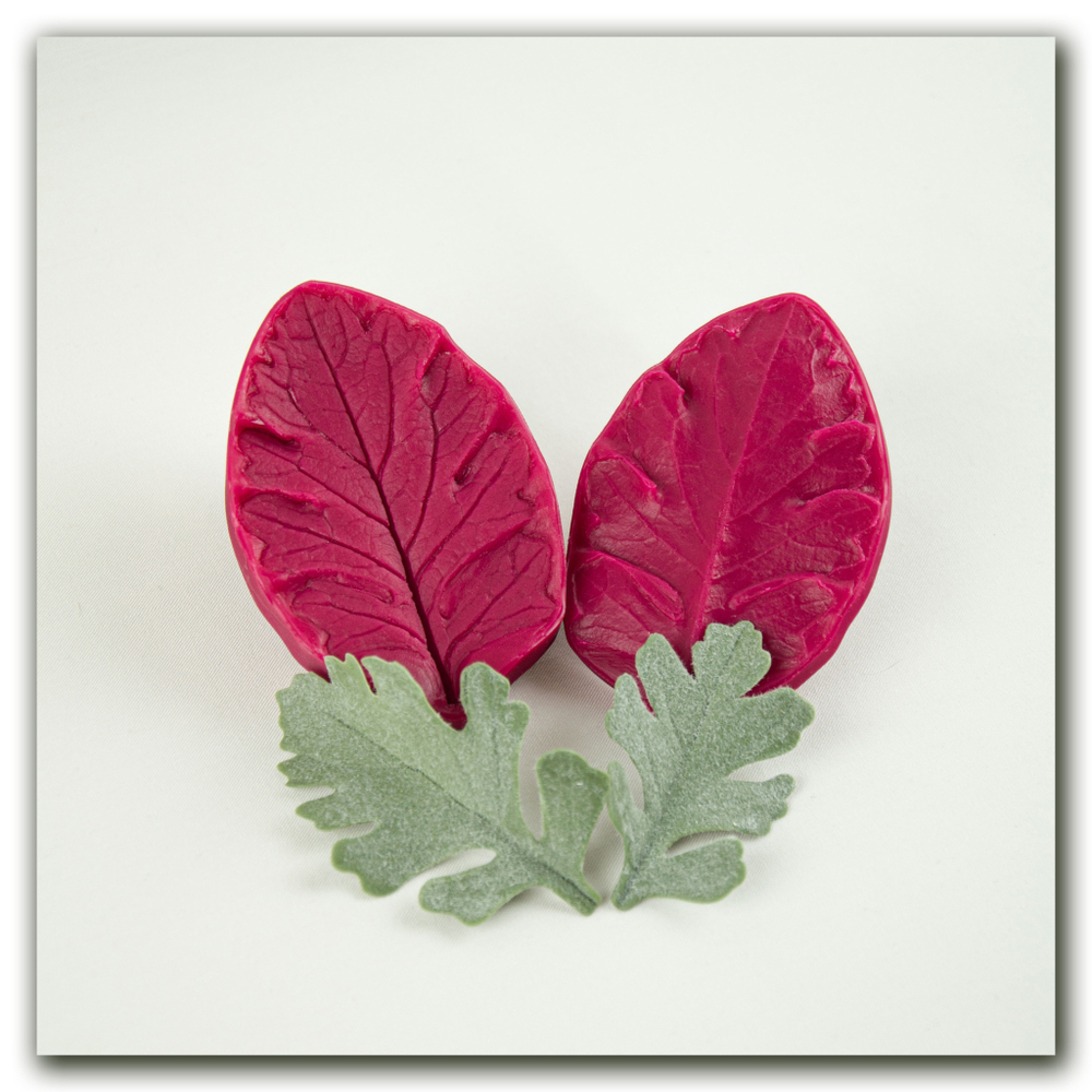 вайнер цинерарии