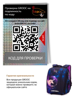Ранец GROOC 7mini-027 + пенал + мешок + сумка-пенал
