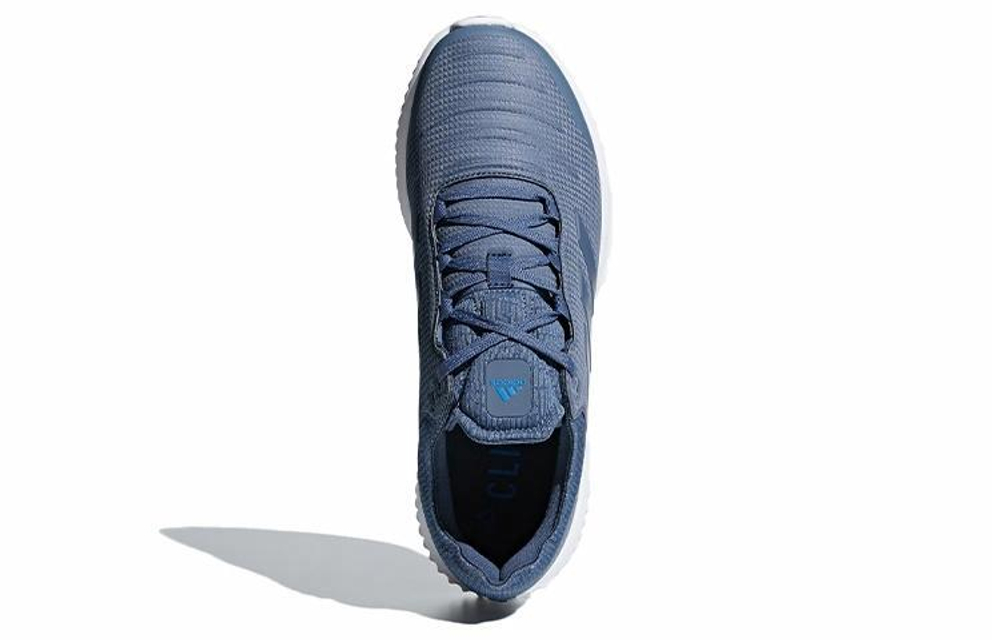 Кроссовки Adidas Climaheat All Terrain