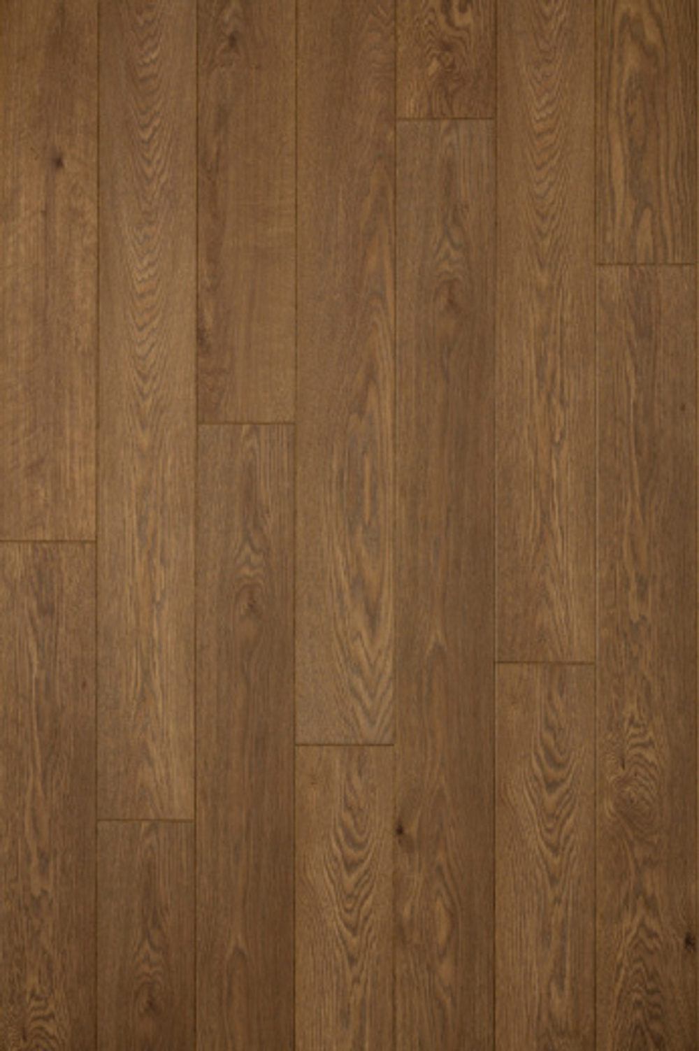 Ламинат Clixfloor Charm 12 мм CXC162-2 ДУБ КАРАМЕЛЬ 1.342 м2