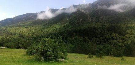 Участок 435 кв.м. по трассе с. Ахсау