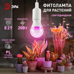 Фитолампа для растений светодиодная ЭРА GREEN LINE ФИТО A65-20W-PL-E27-GR розового свечения 20 Вт Е27 | Фитолампы Е27