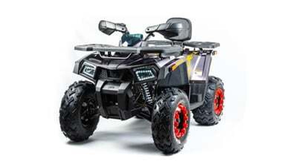 Квадроцикл MOTOLAND 200 WILD TRACK X PRO (2022)