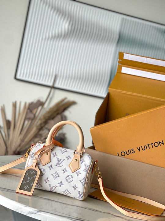 Louis Vuitton Speedy 20
