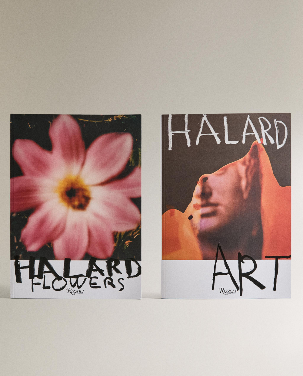 Francois Halard: A Photographic Life. Фотоальбом интерьеров (на английском языке)