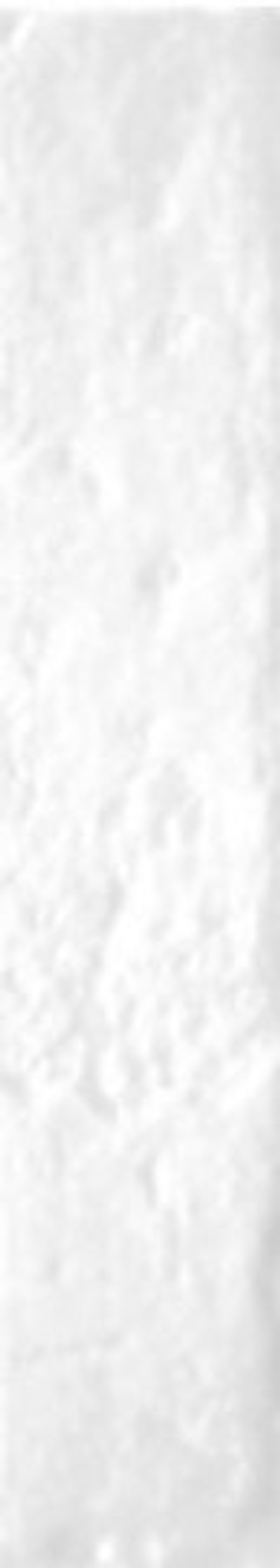 Wow Briques White Gloss 4.5x23