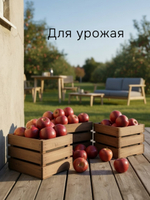 Ящики для хранения, 38х22х19, 19х16х16, для сада, рассады, деревянный, 3 шт.