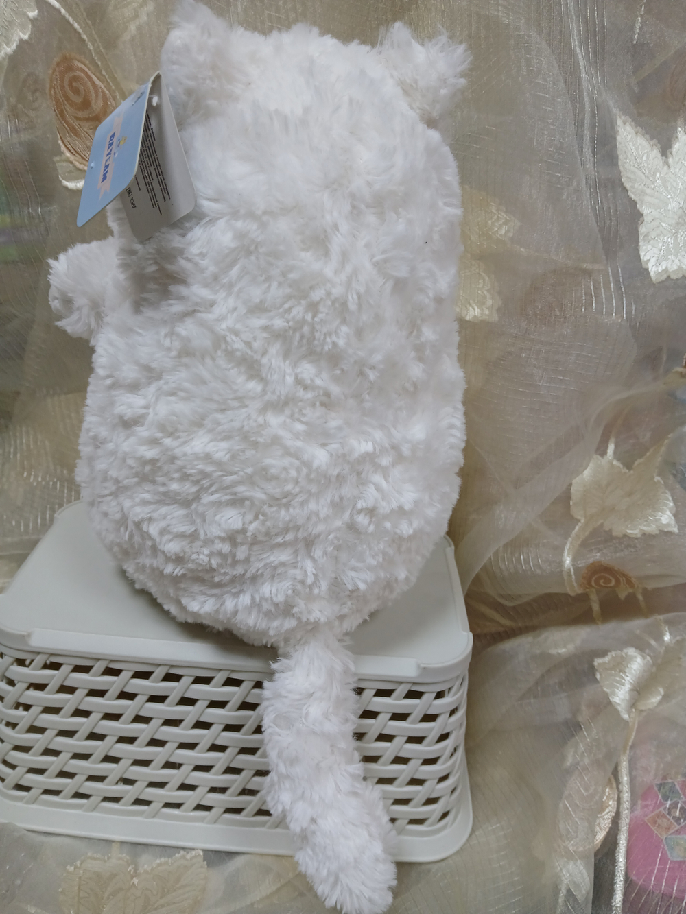 Кот белый с разноцветными глазами, сидит, 25 см