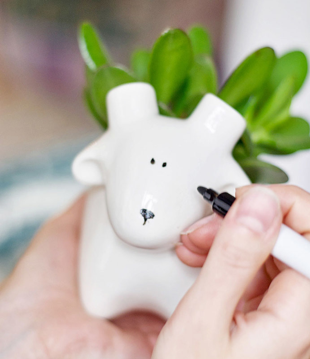 Набор для выращивания eco Овечка