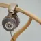 Focal Clear MG