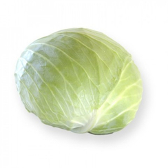 Септима F1 семена капусты белокочанной (Rijk Zwaan / Райк Цваан)