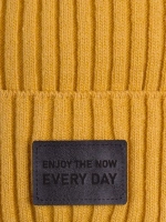 Шапка для мальчика со снудом демисезонная