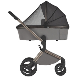 Детская коляска Anex Flo 2 в 1 Charm