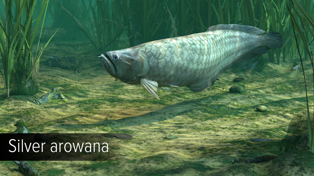 Ultimate Fishing Simulator - Amazon River (для ПК, цифровой код доступа)