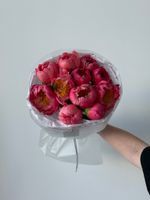 Букет из пионов сорта Корал Шарм 11 шт