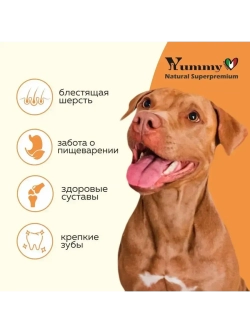 Корм для щенков средних и крупных пород, индейка 8 кг