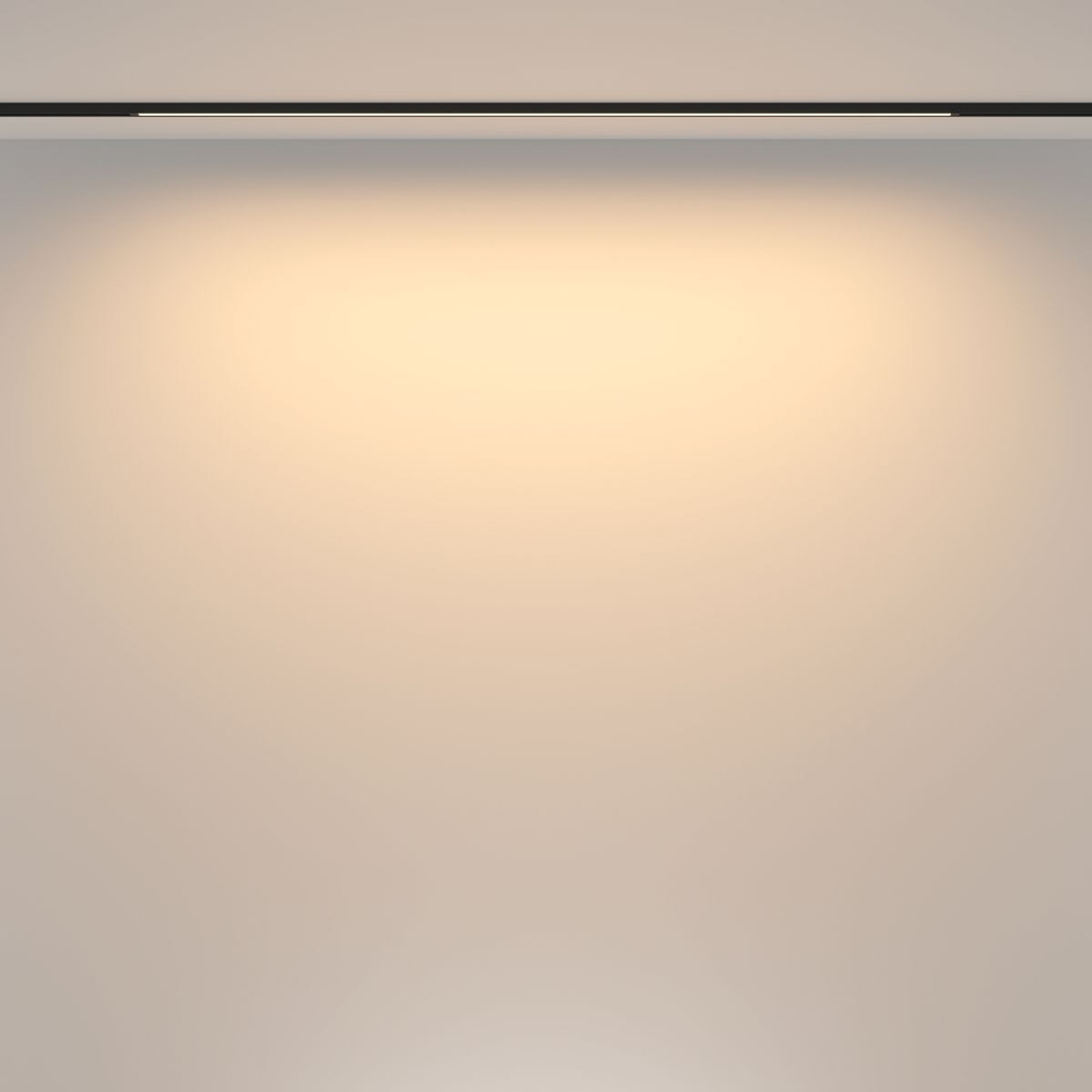 Трековый магнитный светильник Maytoni Basis TR173-1-24WTW-B