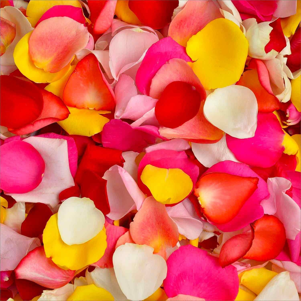 Лепестки роз (микс)