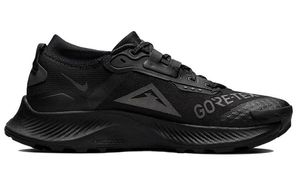 Кроссовки Nike Pegasus Trail 3 Gtx (Женская размерная сетка)