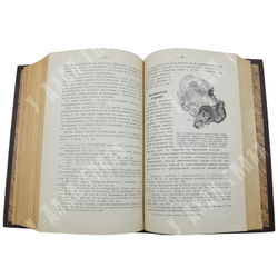 Бехтерев В. М. Основы учения о функциях мозга. Вып. 1-4. СПб.: Изд. Брокгауз и Ефрон, 1903-1905.