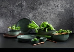 ASA Poke Bowl 25x9cm 2.5l Ocean