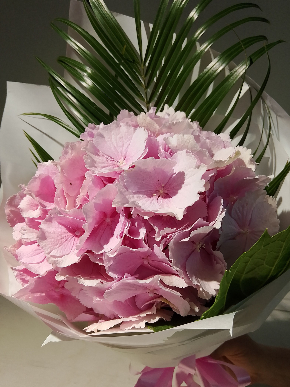 Комплимент с гортензии небесно-голубого цвета (М0030)