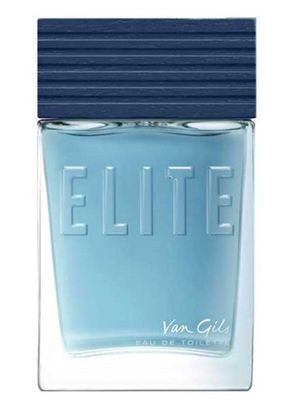 Van Gils Elite