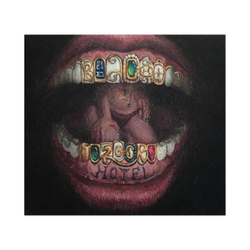 КОМПАКТ-ДИСК (CD-ДИСК) БРХ