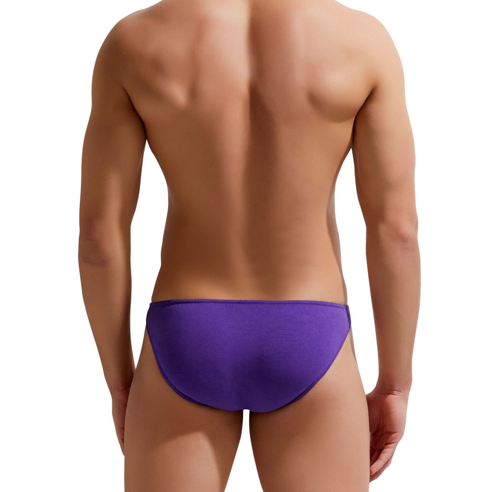 Хлопковые мужские трусы-слипы Colours of the Planet Brief (Размер: L) (Цвет: белый)