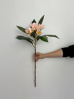 Одиночные цветы