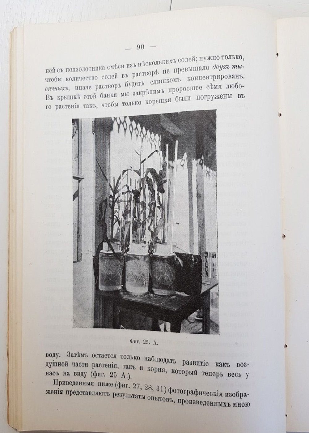 "Жизнь растения". К.А.Тимирязев. 1914г. - антикварная книга
