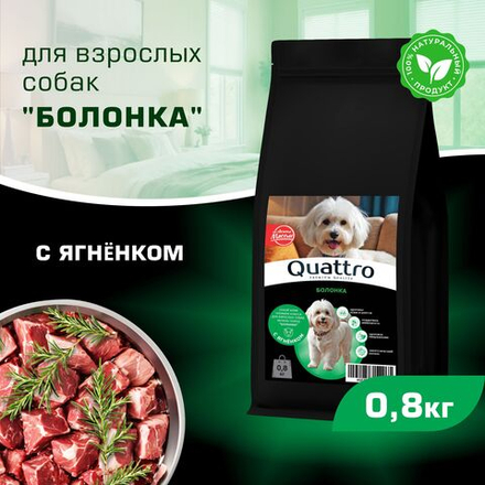 Корм сухой для взрослых собак породы Болонка, с ягненком, 800 гр, QUATTRO