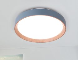 Ambrella Потолочный светодиодный светильник с пультом Design FZ1320