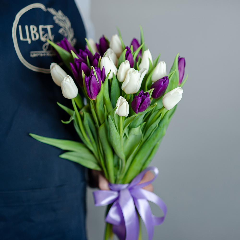 Фиолетовые-белые тюльпаны под  ленту
