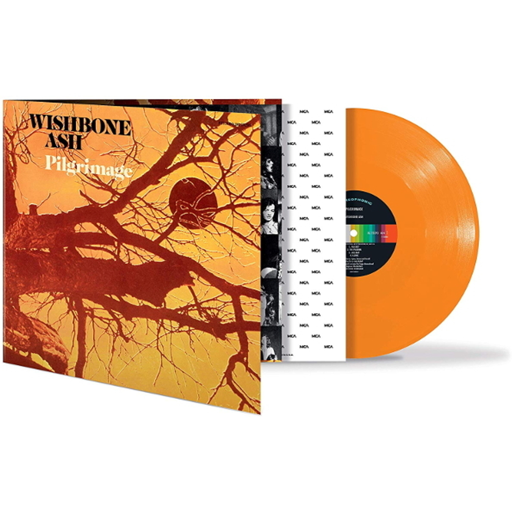 Wishbone Ash / Pilgrimage (Coloured Vinyl)(LP)