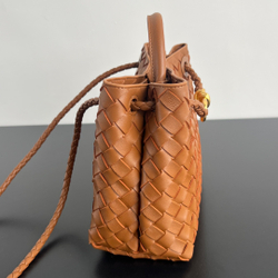 Bottega Veneta Small Andiamo 25 cm