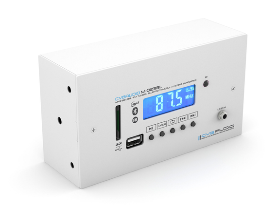 CVGAUDIO M-023W мультимедийный комбинированный источник сигнала MP3/FLAC плеер (USD/SDcard)